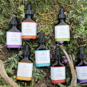 7 Chakras Tincture Kit