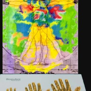 Chakra/Aura/Organ Scan